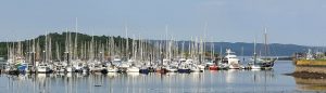 Tarbert-Harbour2-1310